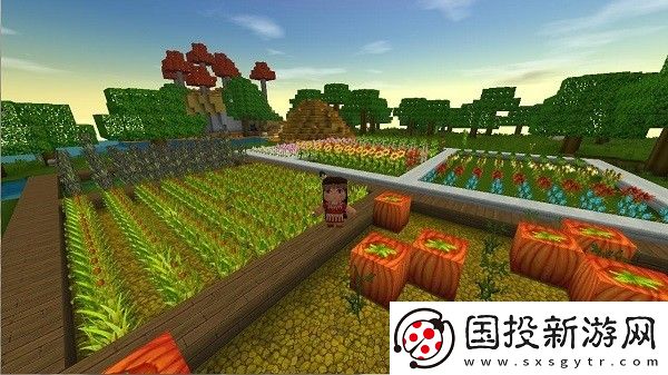 迷你世界測(cè)試服