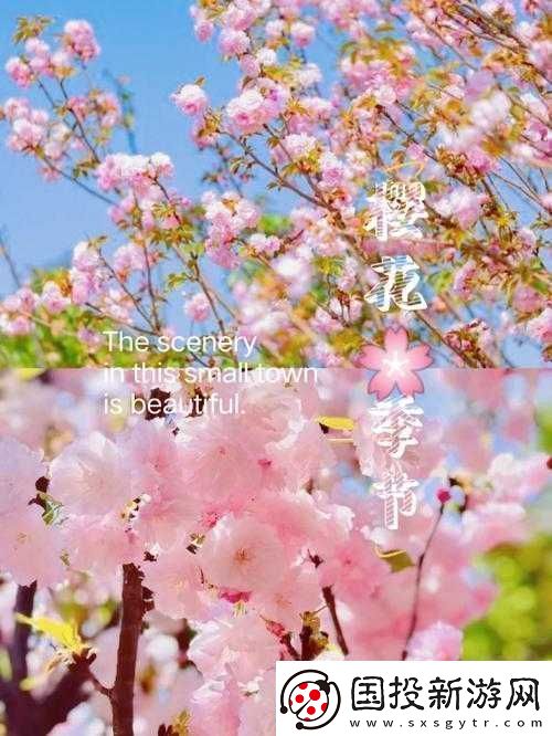 請用你的手打擾我櫻花：一場浪漫的櫻花邂逅