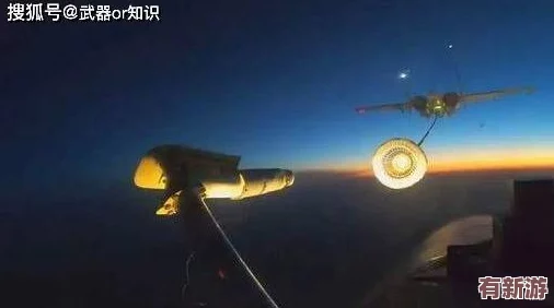 雷電將軍的釋懷網站!