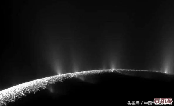 雷電將軍的釋懷網站!