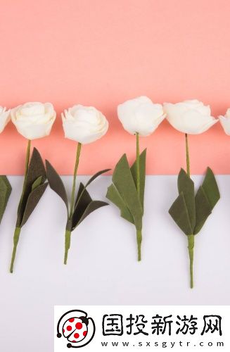 免費(fèi)可以直接打開的網(wǎng)站高清推薦版